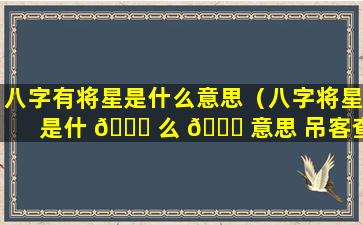 八字有将星是什么意思（八字将星是什 🍁 么 🍁 意思 吊客查法怎么看）